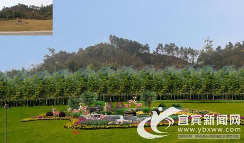 宜宾南北线打造竹景观&nbsp;“生态&nbsp;观赏&nbsp;实用”兼具(图2)