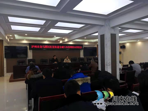 龙马潭区红星街道召开全域污水治理排水普查工作会(图1)