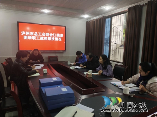 泸州市总工会领导到合江检查困难职工帮扶工作(图1)