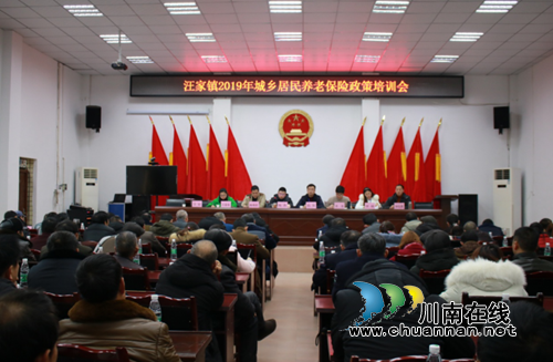 宜宾汪家镇召开2019年城乡居民养老保险培训会(图1)