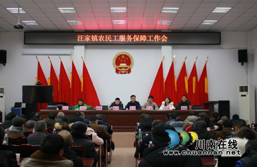 宜宾南溪区汪家镇扎实推进农民工服务保障工作(图1)