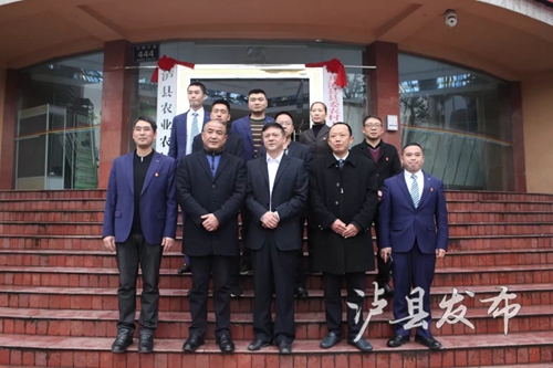 泸县机构改革&nbsp;17个新组建部门挂牌(图6)