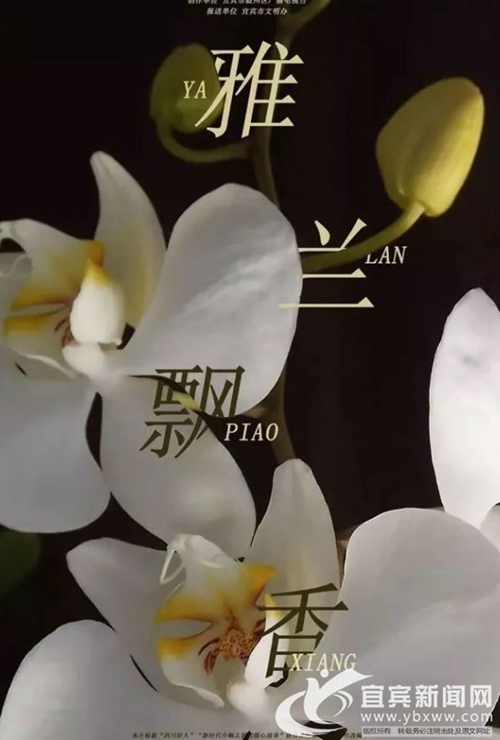 宜宾微电影获“四川风尚”微电影优秀作品奖(图1)