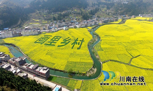第12届古蔺双沙菜花旅游文化开放月9日开幕(图1)