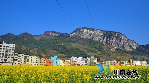 第12届古蔺双沙菜花旅游文化开放月9日开幕(图3)