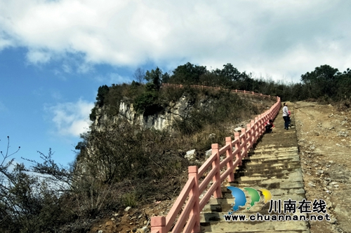 第12届古蔺双沙菜花旅游文化开放月9日开幕(图7)