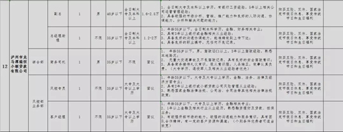 泸州青年企业家协会专场招聘会，好工作等你来(图16)