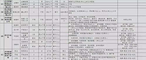 泸州青年企业家协会专场招聘会，好工作等你来(图32)