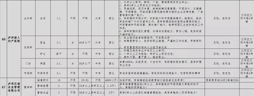 泸州青年企业家协会专场招聘会，好工作等你来(图38)