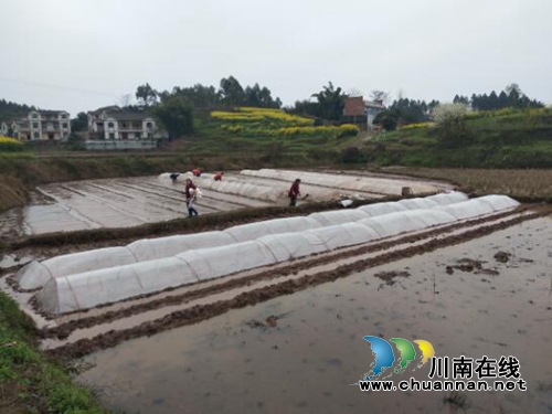 春光明媚&nbsp;&nbsp;汪家农民忙春耕(图1)