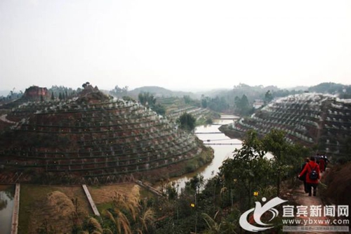 第三届国际（宜宾）茶业年会年17日至20日举行(图3)