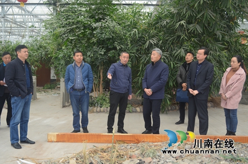 刘云率队到泸县玉蟾街道督导“大棚房”整治工作(图3)