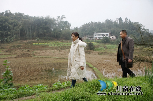 合江：驻村“美女书记”为贫困户撑起爱的天空(图3)