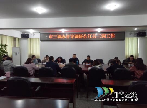 泸州市三调办督导调研合江县三调工作(图2)
