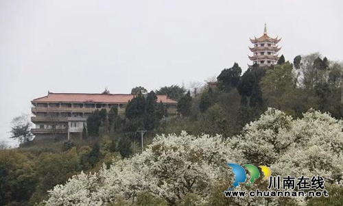 来！相约泸县云锦山&nbsp;赴梨花节听禅品茗尝美食(图5)