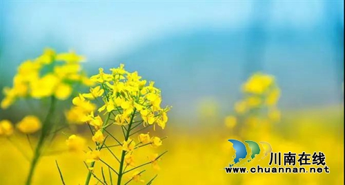 你的家乡咋拍才漂亮？西南医大中医院向您征稿(图1)