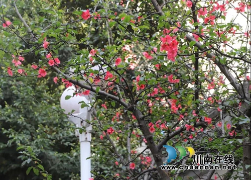 你的家乡咋拍才漂亮？西南医大中医院向您征稿(图6)