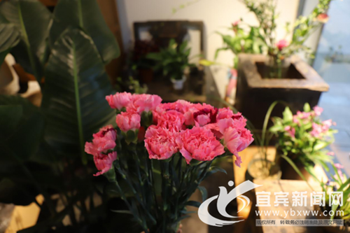 三八节“花”式宠女神 宜宾鲜花市场迎来高峰(图1) 三八节“花”式宠女神 宜宾鲜花市场迎来高峰(图1)