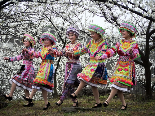 宜宾筠连11届李花节暨筠连好茶·春茶节8日开幕(图4)