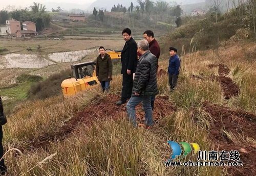 宜宾南溪区汪家镇多举措推进竹产业发展(图1)