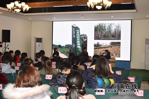 合江县举办“巾帼奋进新时代•建功五个新合江”对话会(图2)