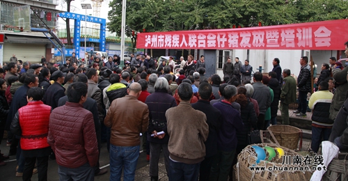 泸州市残联仔猪发放暨培训会在龙马潭区开展(图1)