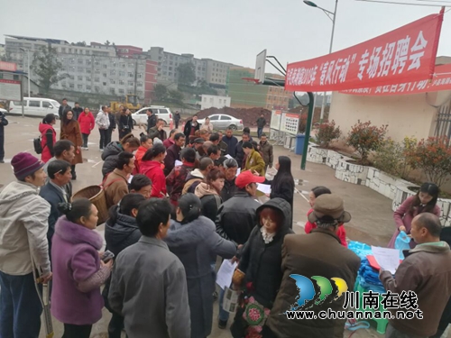 泸县海潮镇举行2019年“春风行动”暨智能终端现场招聘会(图2)