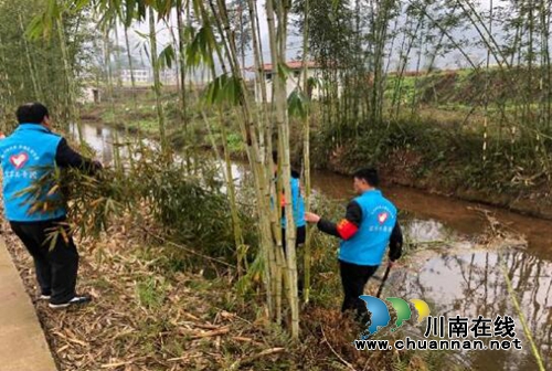 宜宾南溪区汪家镇开展&nbsp;“河小青”志愿服务活动(图2)