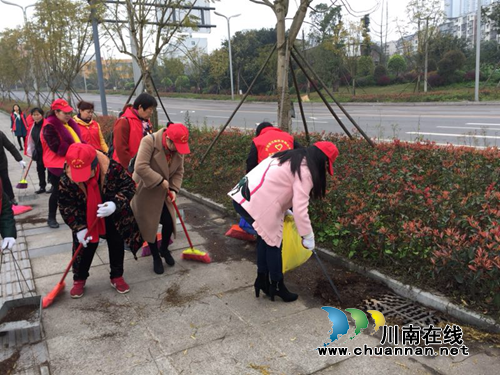 江阳区华阳街道瓦窑坝社区开展“美丽三八节，清河护岸行”志愿服务活动(图2)