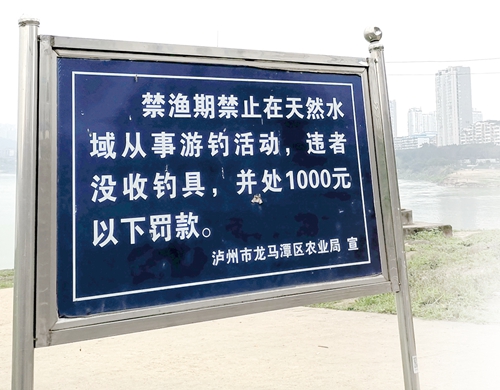 禁渔期内&nbsp;&nbsp;渔民钓友何处去(图3)