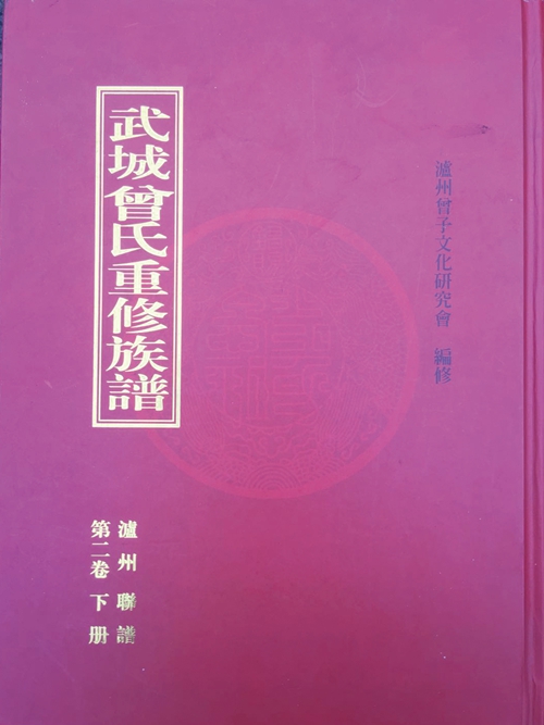 新龙湾内节孝传百年&nbsp;昭武祠中热血延九秩(图2)