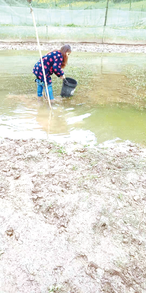 巾帼扬采天地间&nbsp;&nbsp;敢同日月争光辉(图4)