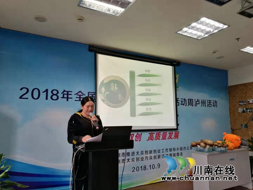泸州举办2019年女性新型就业模式职业指导讲座(图2)