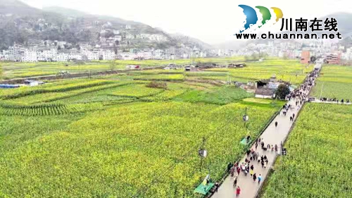 2019中国古蔺双沙菜花旅游文化开放月启动(图1)