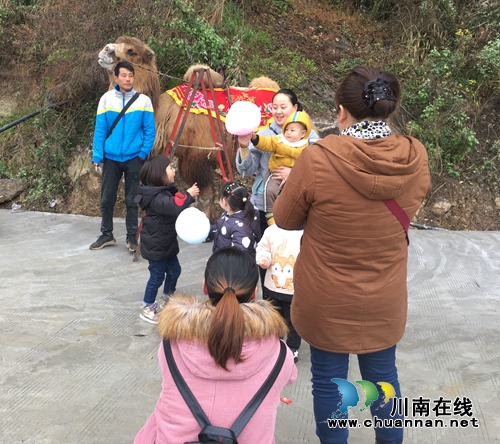 2019中国古蔺双沙菜花旅游文化开放月启动(图10)