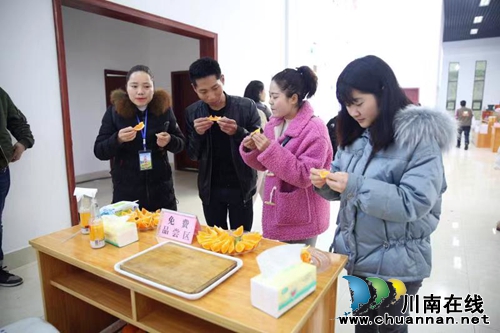 2019中国古蔺双沙菜花旅游文化开放月启动(图22)