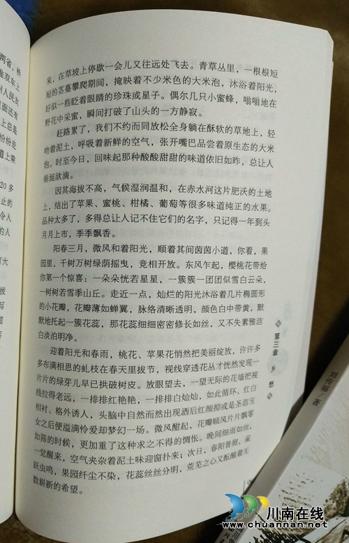 好书推荐：泸州青年作家刘传福《磨声悠长》(图13)
