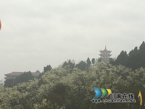 泸县：云锦山上梨花节&nbsp;农民登台“唱主角”(图2)