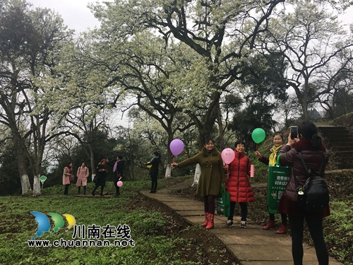 泸县：云锦山上梨花节&nbsp;农民登台“唱主角”(图4)