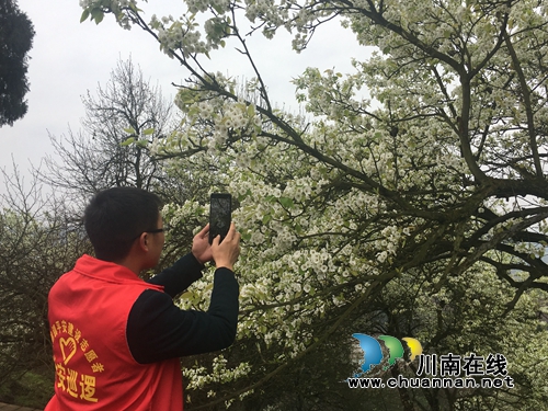 泸县：云锦山上梨花节&nbsp;农民登台“唱主角”(图5)