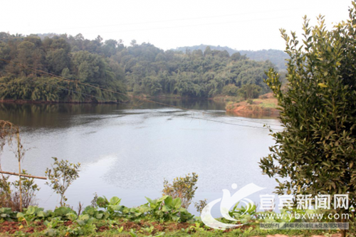 宜宾残疾小伙励志创业&nbsp;双手炼制“稳稳的幸福”(图2)