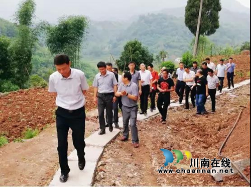 自然资源部财政部检查评估泸州市地质灾害综合防治体系建设工作(图1)