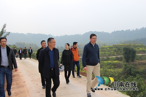 合江县参宝镇：小花椒种出致富大梦想(图2)