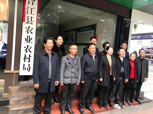 合江一批领导干部走马上任 这些新部门集中挂牌(图4)