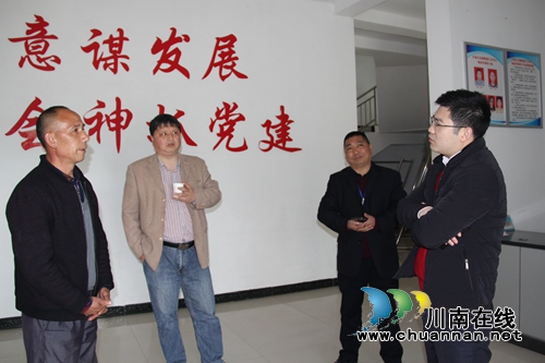 泸州市委组织部到泸县云龙调研基层党建工作(图5)