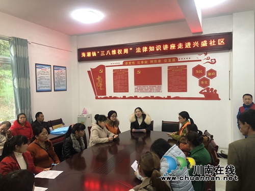 泸县海潮镇开展“三八”妇女节普法宣传活动(图2)