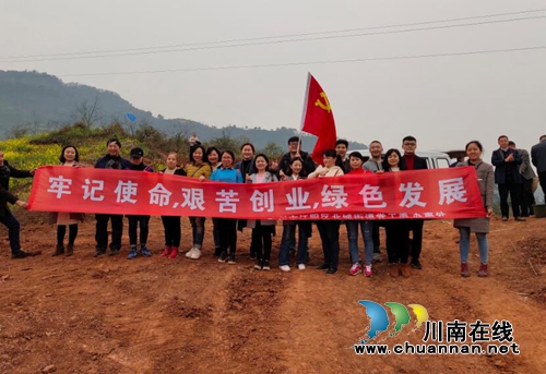 江阳区北城街道开展“牢记使命、艰苦创业、绿色发展”植树活动(图1)