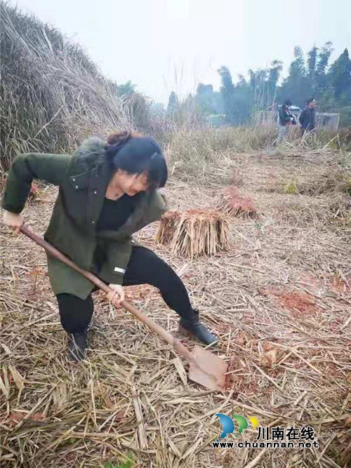 绿水青山就是金山银山，江阳法院植树啦！(图3)