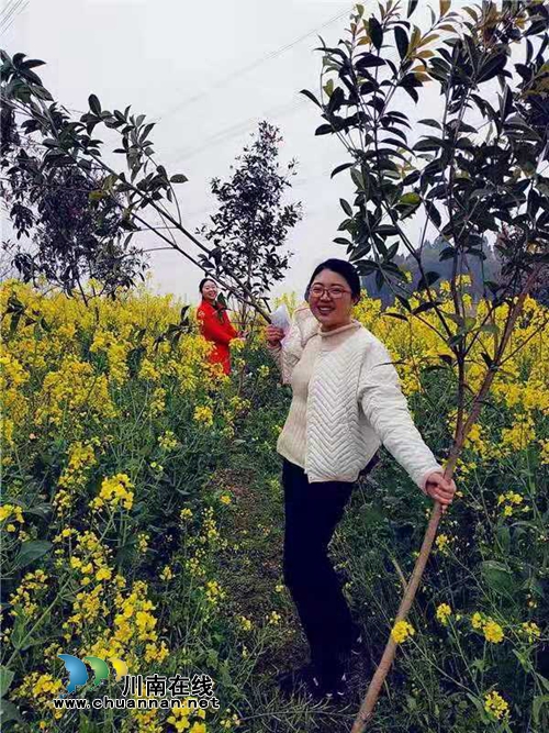 绿水青山就是金山银山，江阳法院植树啦！(图4)