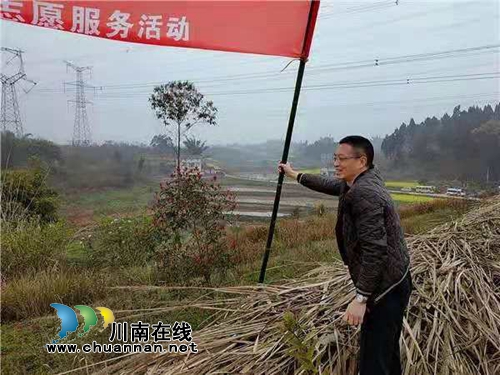 绿水青山就是金山银山，江阳法院植树啦！(图8)